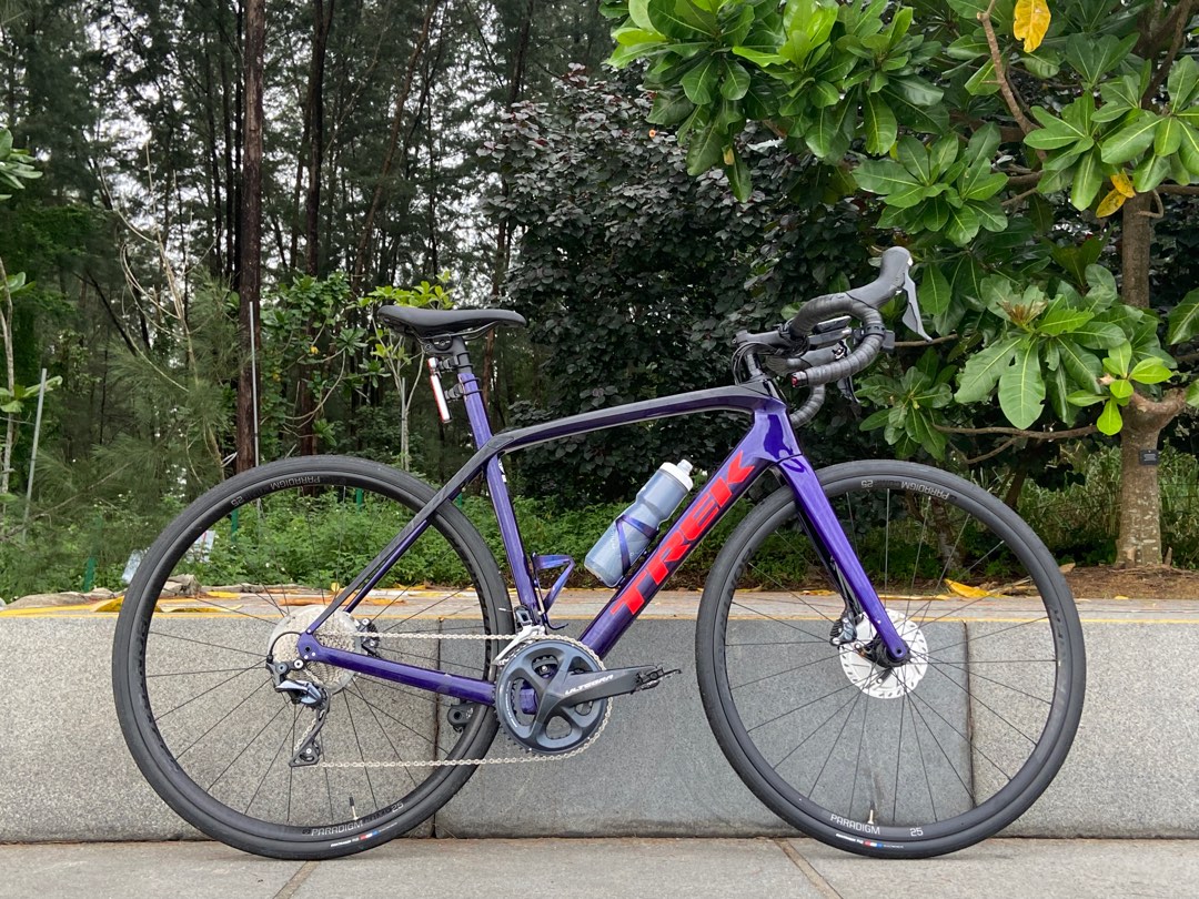 Domane for 2025 sale
