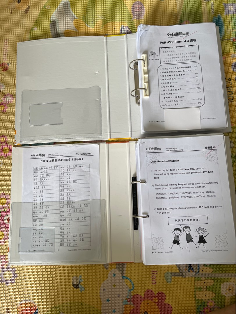 Wang Laoshi P6 Higher Chinese Notes 2022!, Hobbies & Toys, Books ...