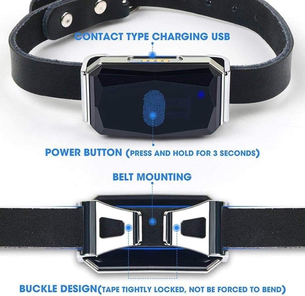 Gps dog collar petsmart sales
