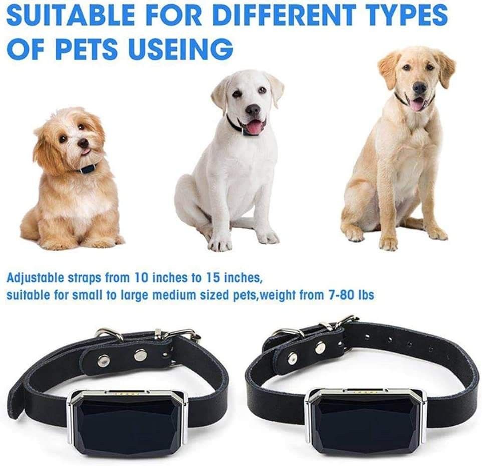 Petsmart gps top tracker