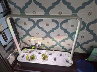 (Category: ) located in . Submitted by radie (Listing ID 1197565148, Image 1). Description: .