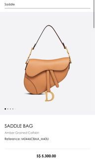 DIOR saddle crossbody, Luxury, Bags & Wallets on Carousell
