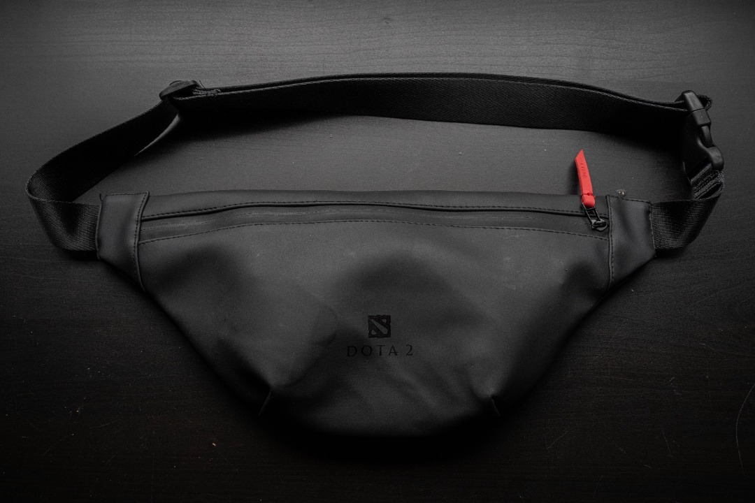 Dota 2 TI11 Swag Bag, Hobbies & Toys, Memorabilia & Collectibles, Fan