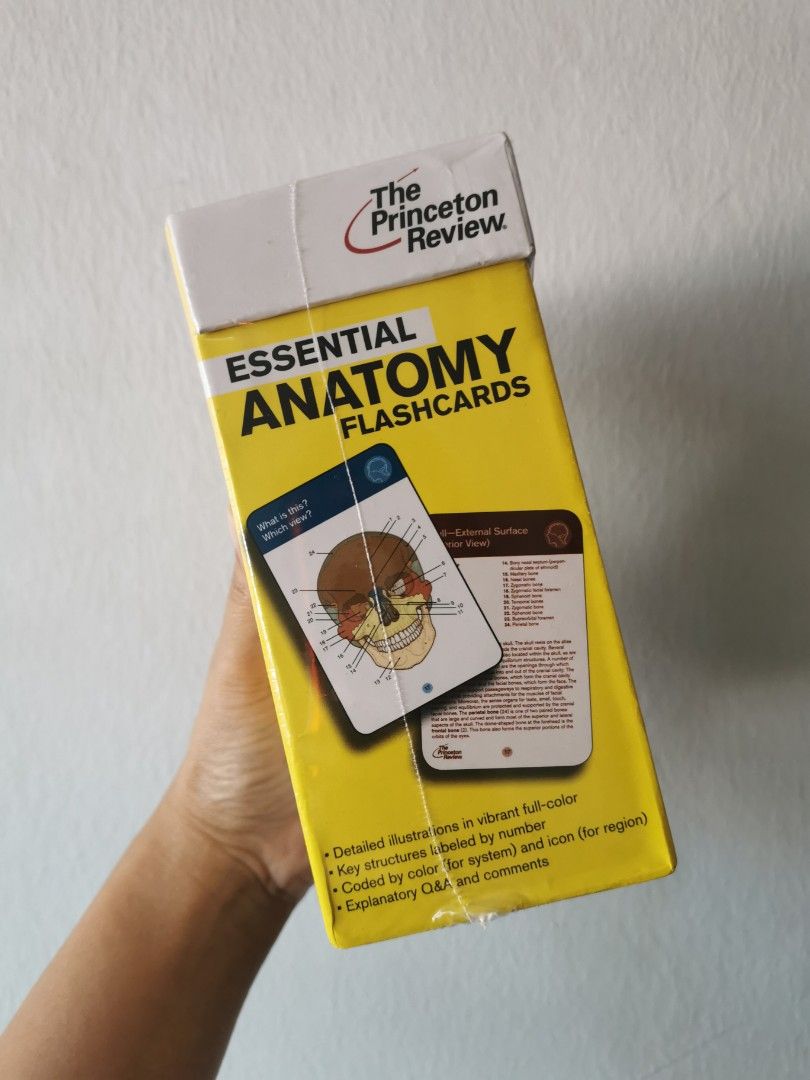 Essential Anatomy Flashcards, Hobbies & Toys, Books & Magazines