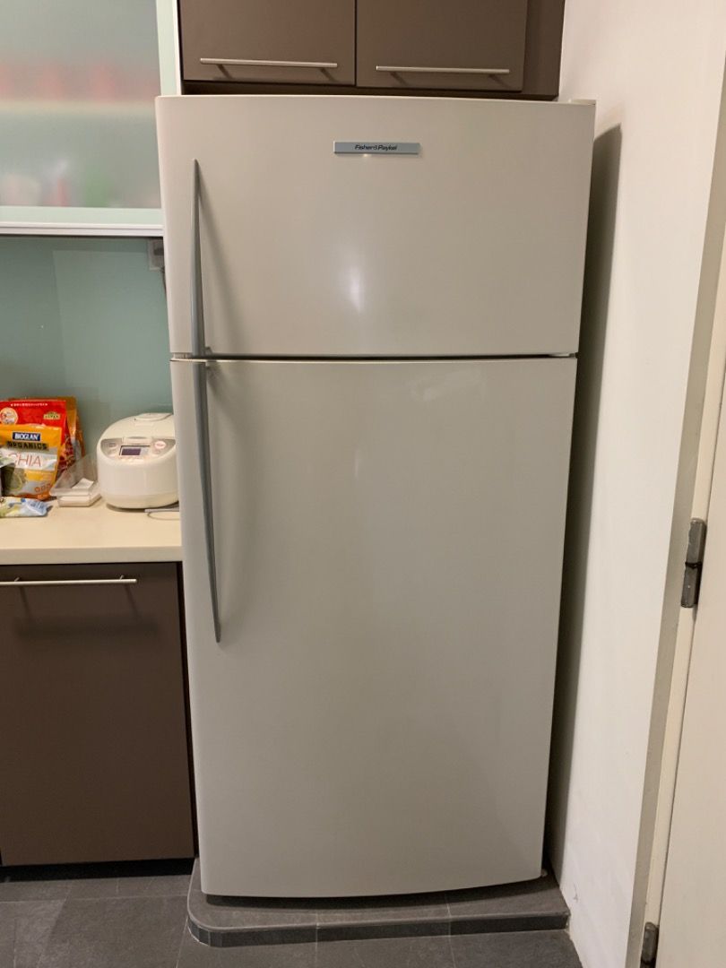 Fisher and paykel Refrigerator, Furniture & Home Living, Kitchenware