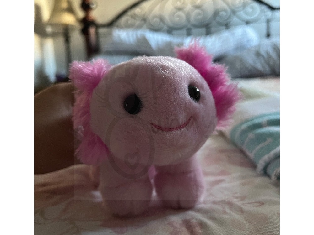 Mini Axolotl Build a Bear, Hobbies & Toys, Toys & Games on Carousell