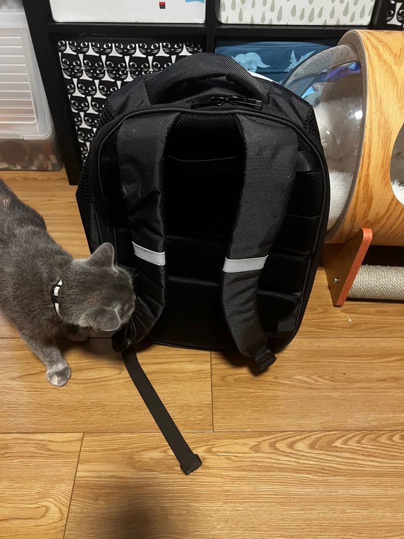 Petkit backpack （分類：寵物家品及其他）位於 Hong Kong。 由 amy7882 提交（商品編號 1197658929，圖片 2）。簡介： 正常使用痕跡 只限鑽石山站面交。