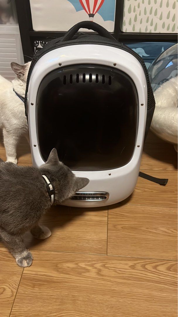 Petkit backpack （分類：寵物家品及其他）位於 Hong Kong。 由 amy7882 提交（商品編號 1197658929，圖片 1）。簡介： 正常使用痕跡 只限鑽石山站面交。