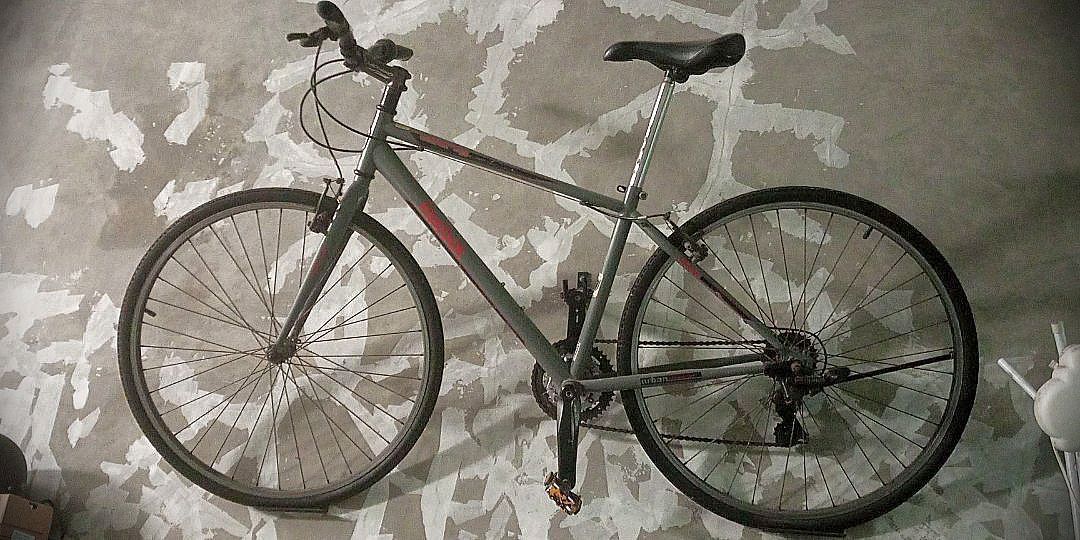 Sepeda hybrid online carbon
