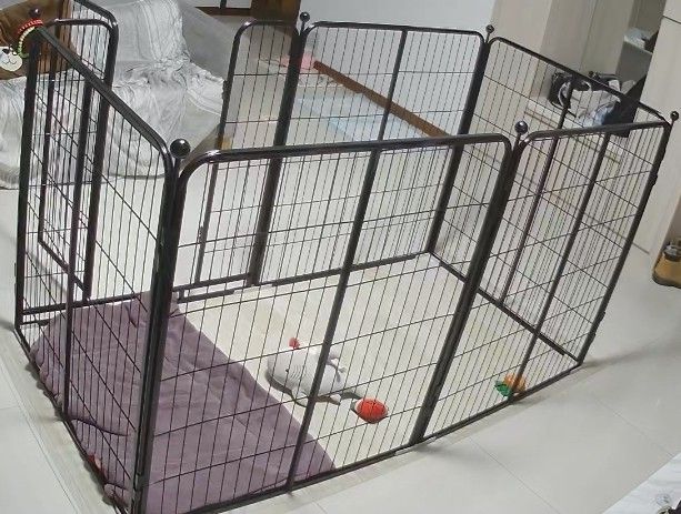 Used deals dog playpen