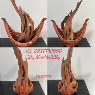 A3 TREATED DRIFTWOOD , WOOD ORCHID 2kg, 50x44x22cm
