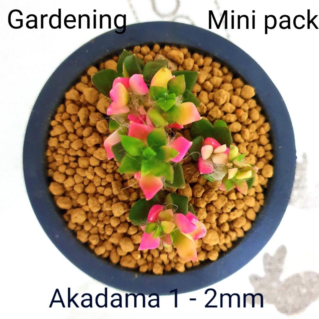 Akadama for succulents, Furniture & Home Living, Gardening, Garden Soil & Fertilisers on Carousell