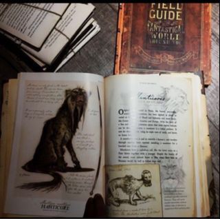 Arthur Spiderwick's Field Guide to the Fantastical World Around You