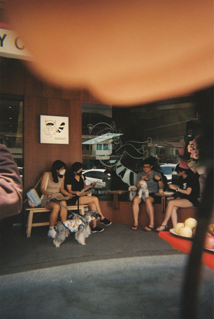 Film camera (not disposable), Photography, Cameras on Carousell