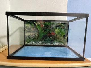 (Category: ) located in . Submitted by anthonyyee123 (Listing ID 1197963910, Image 1). Description: .