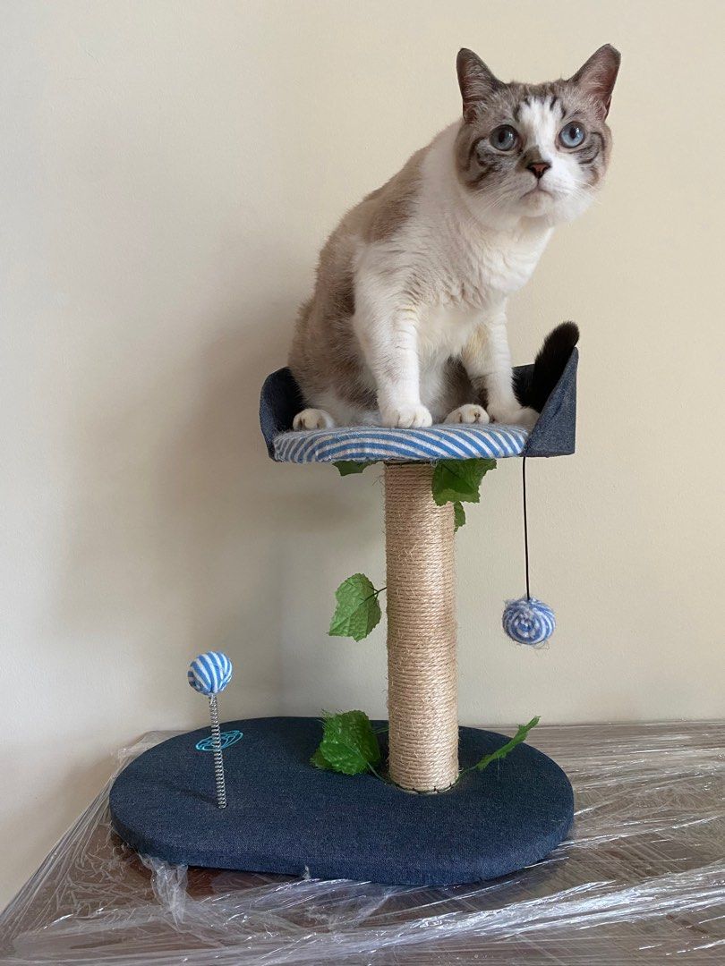 Free best sale cat tower