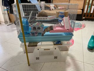 (Category: ) located in . Submitted by mhike0725 (Listing ID 1197797129, Image 1). Description: .