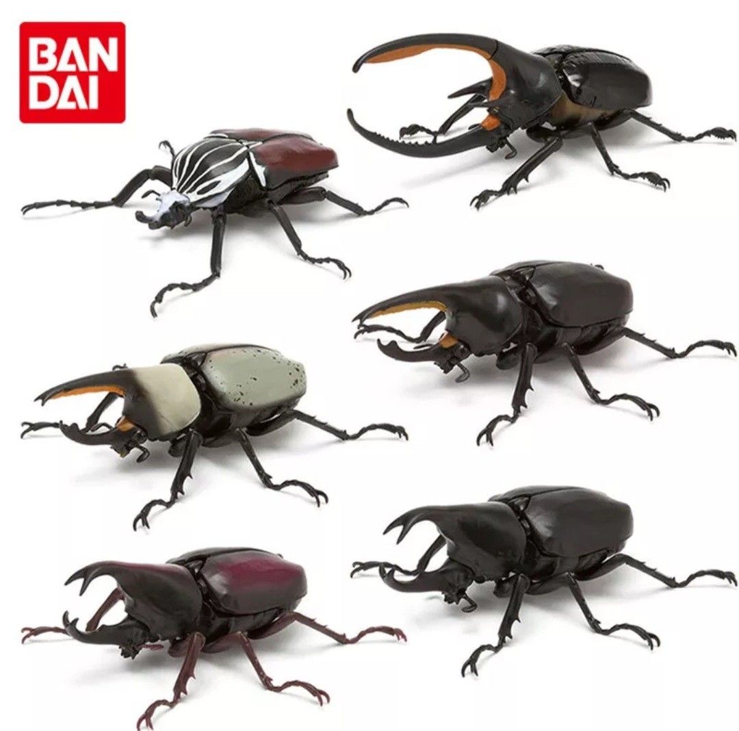 Toy beetles clearance