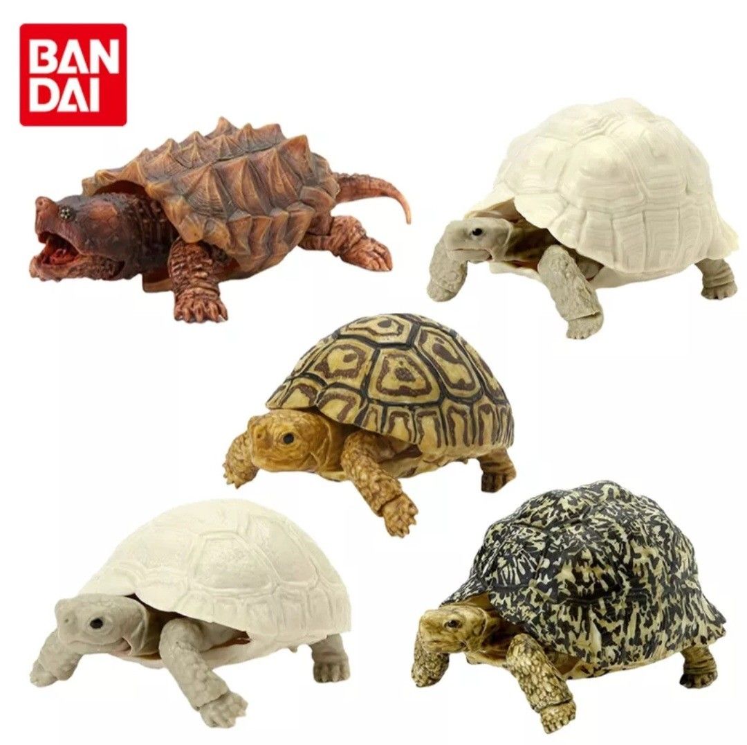 [PO] Bandai tortoise turtle realistic action figures gashapon gacha ...