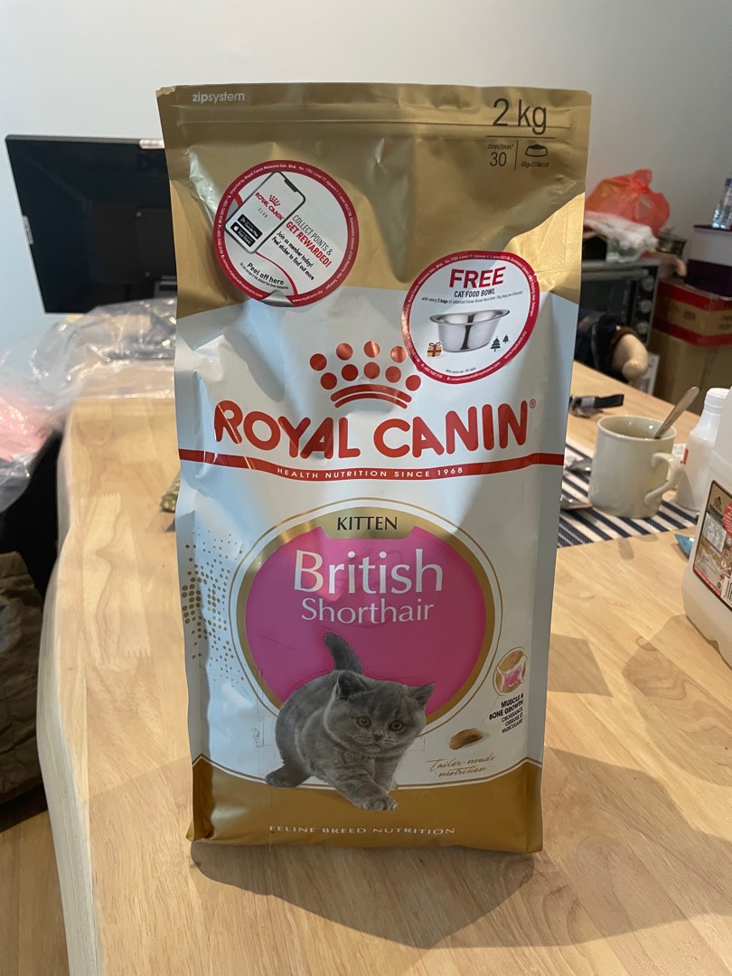 Royal Canin British Shorthair Kitten 2kg Pet Supplies Pet Food