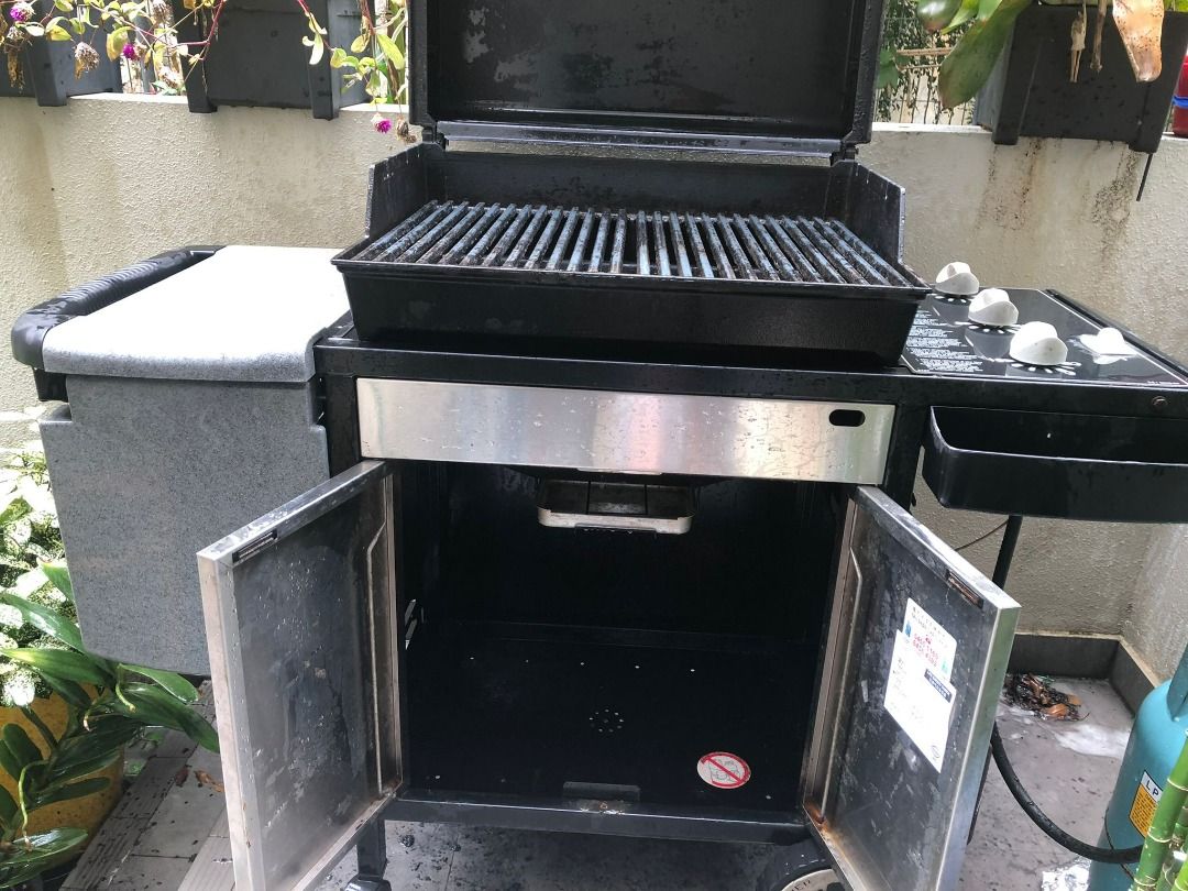 Genesis silver grill hot sale