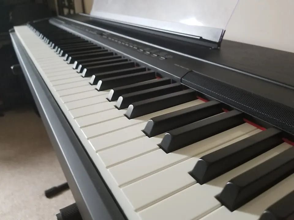 Yamaha p155b shop