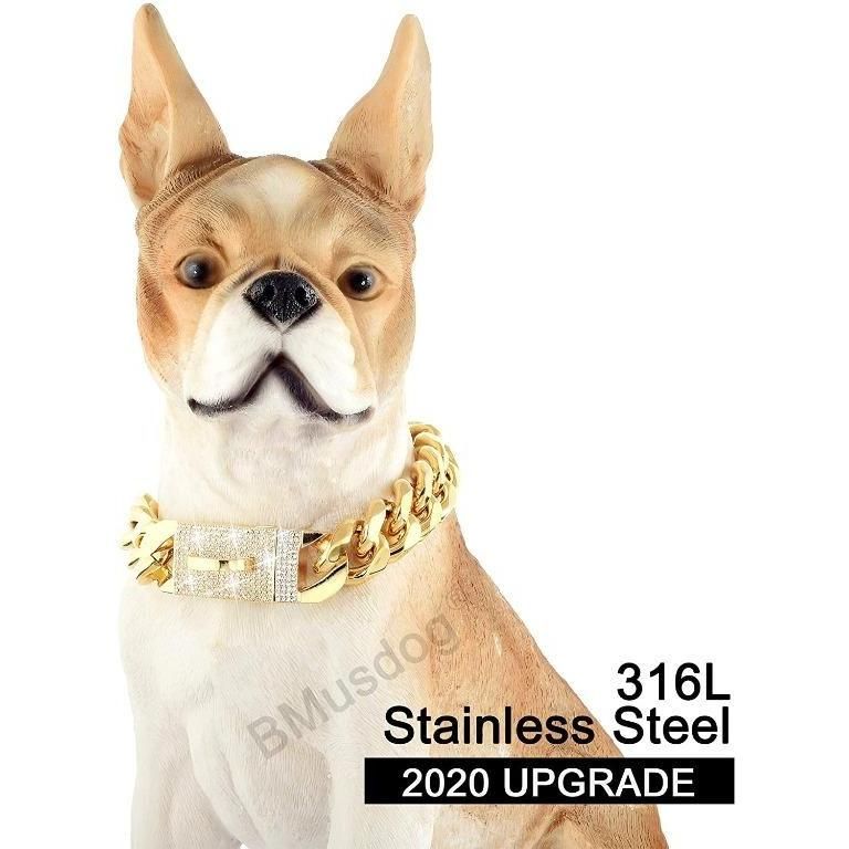 Gold necklace clearance dog collar