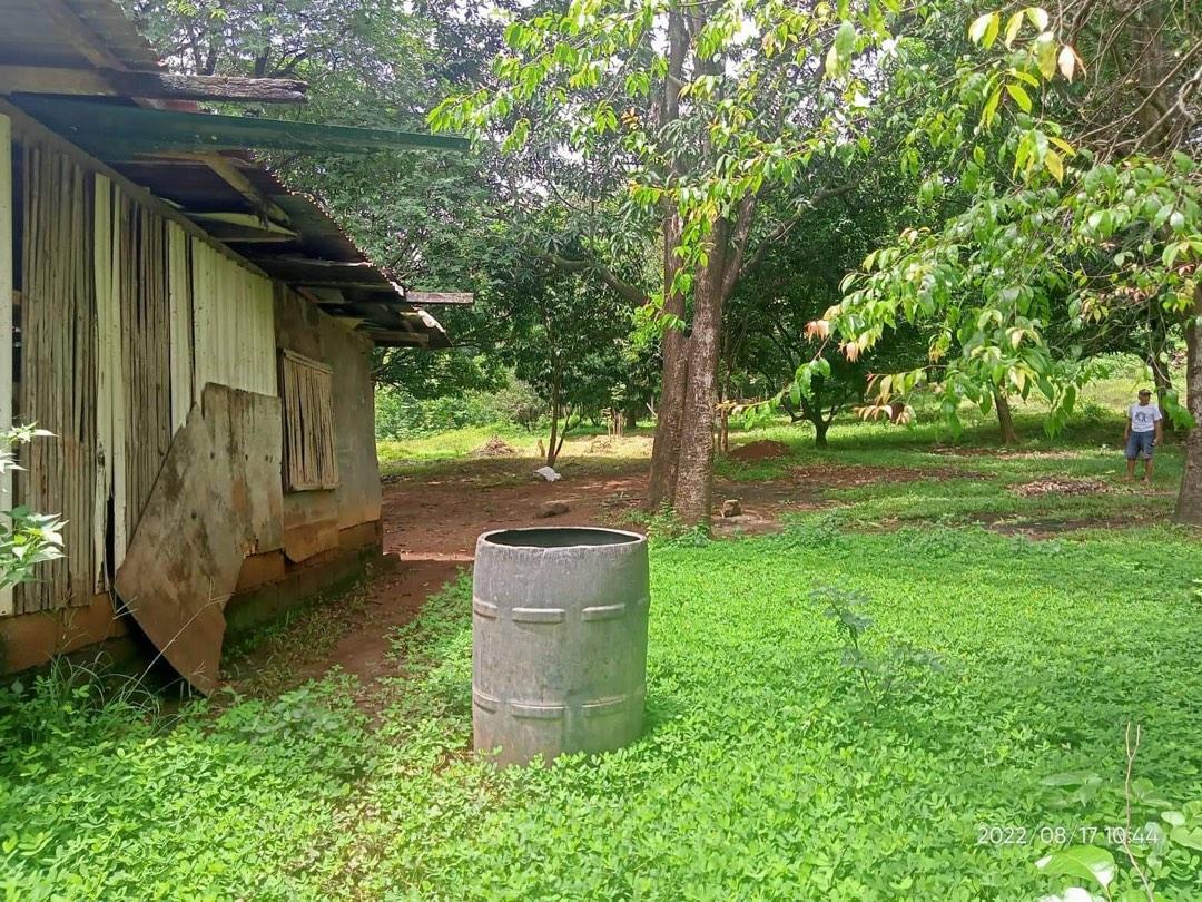 3 ( 3.5 ) Hectares Lot for Sale Punong Kumunoy Lagundi Morong Rizal