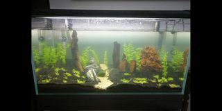 (Category: ) located in . Submitted by juzcat (Listing ID 1194304091, Image 1). Description: .
