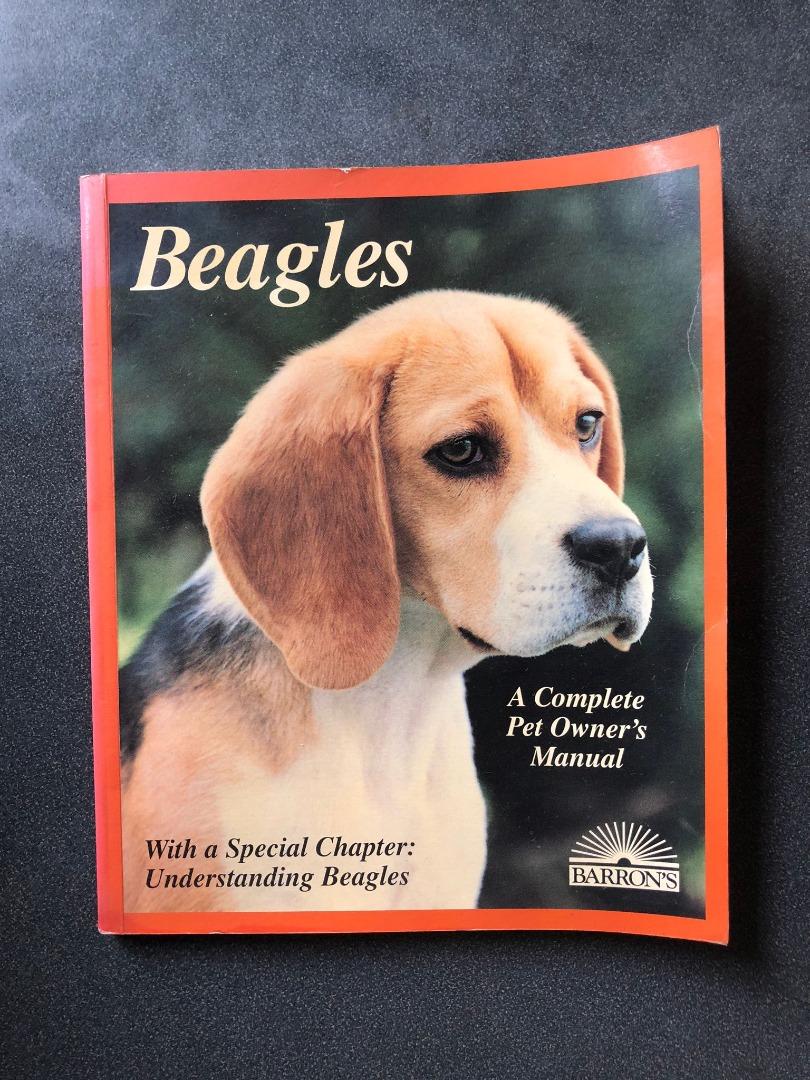 Beagle owners 2024 guide