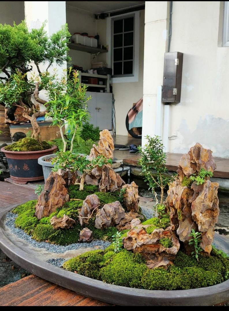 Bonsai Landscaping, Furniture & Home Living, Gardening, Pots & Planters