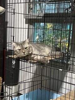 (Category: ) located in . Submitted by fforfriday (Listing ID 1194180020, Image 1). Description: .