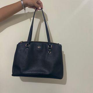Coach Etta Carryall