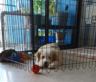 (Category: ) located in . Submitted by leontan44 (Listing ID 1194206523, Image 1). Description: .