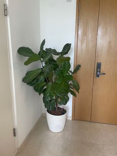 (Category: ) located in . Submitted by jmhammond (Listing ID 1194273941, Image 1). Description: .