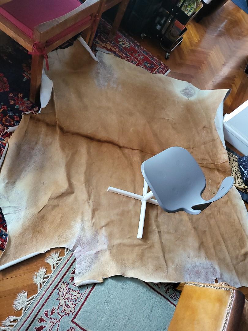 Large cow skin carpet genuine, Furniture & Home Living, Home Decor