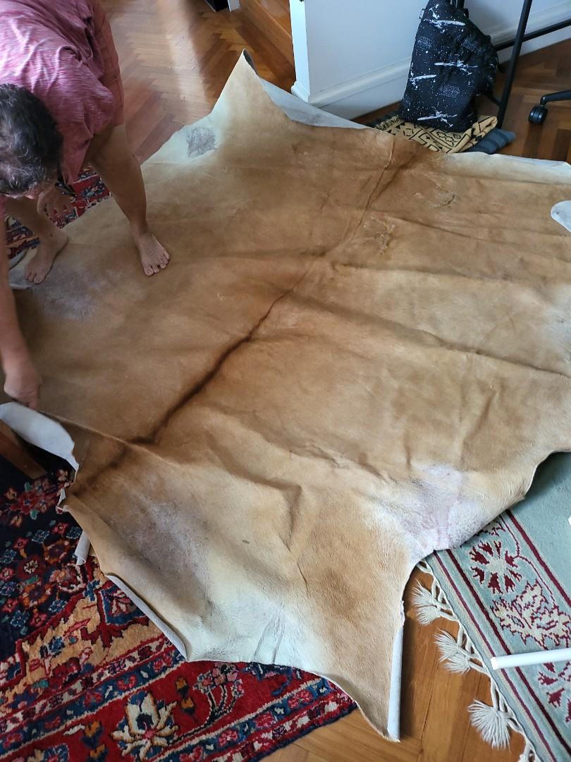 Large cow skin carpet genuine, Furniture & Home Living, Home Decor