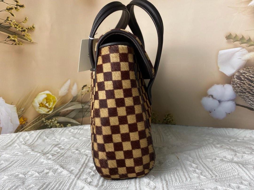 Louis vuitton damier sauvage sales