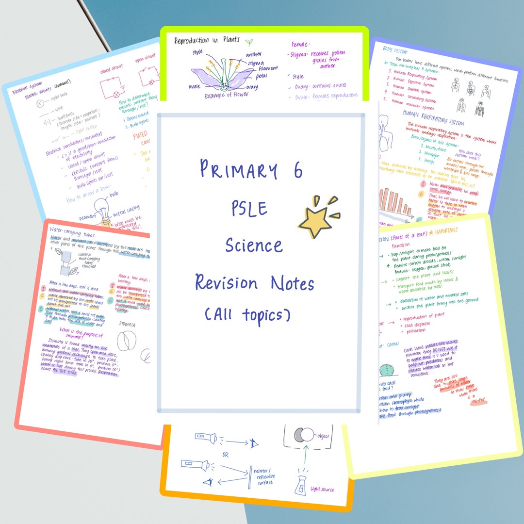 PSLE Science notes handwritten, Hobbies & Toys, Books & Magazines ...