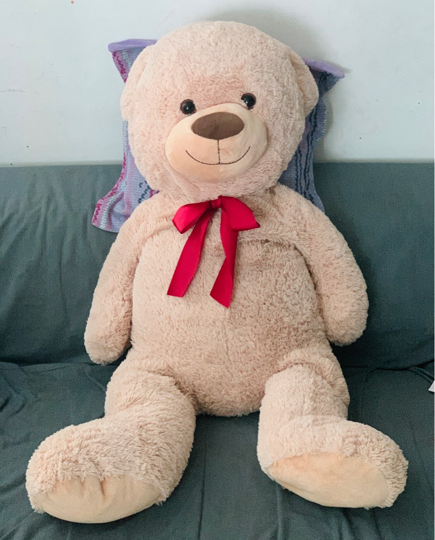 medium size teddy bear