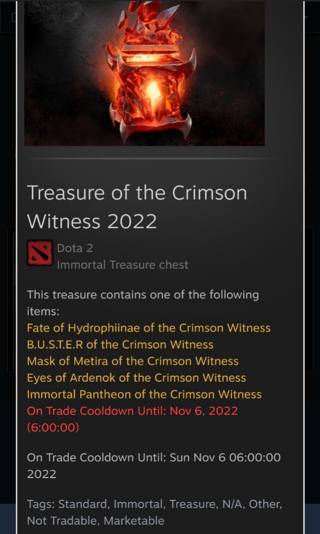Treasure of the Crimson Witness 2022, Video Gaming, Gaming Accessories