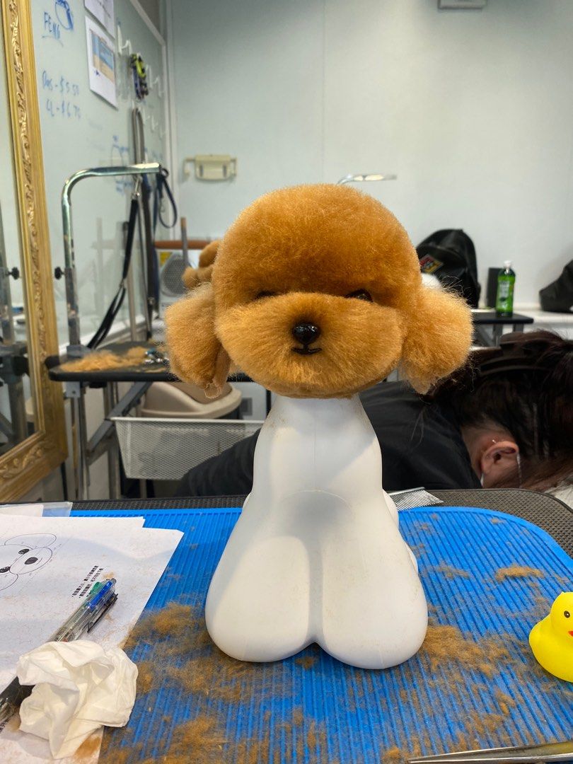 40 Pet Grooming at Punggol, Pet Supplies, Homes & Other Pet