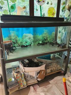 (Category: ) located in . Submitted by Colours (Listing ID 1198180547, Image 1). Description: .