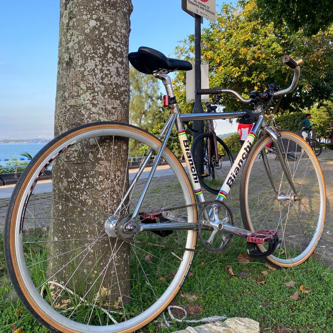 bianchi track frameset