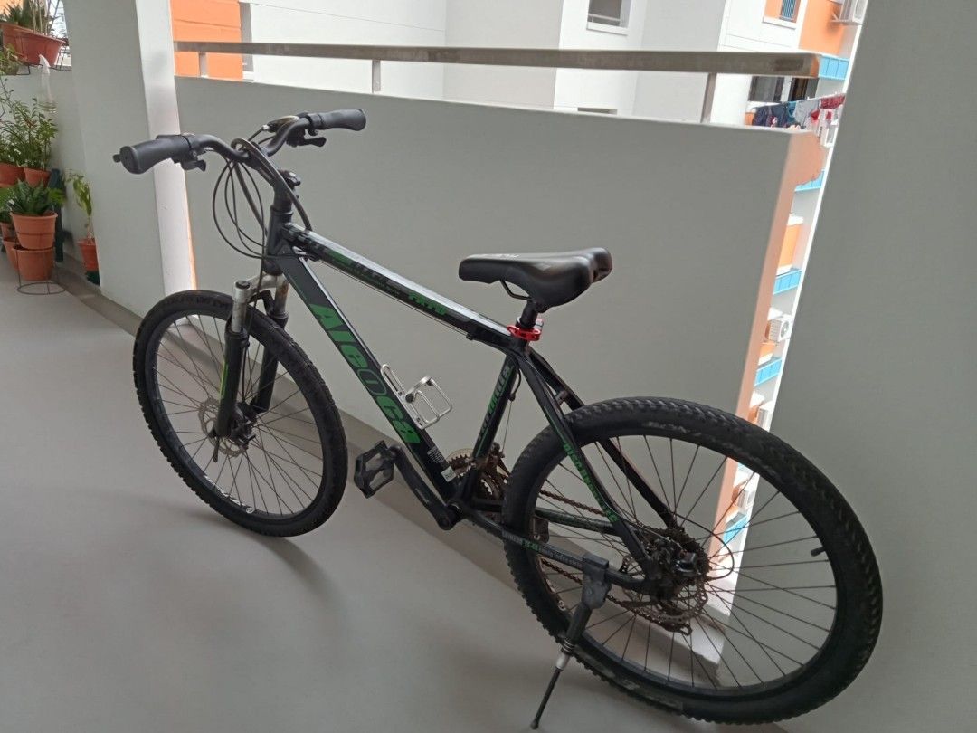 Fat on sale bike diadora