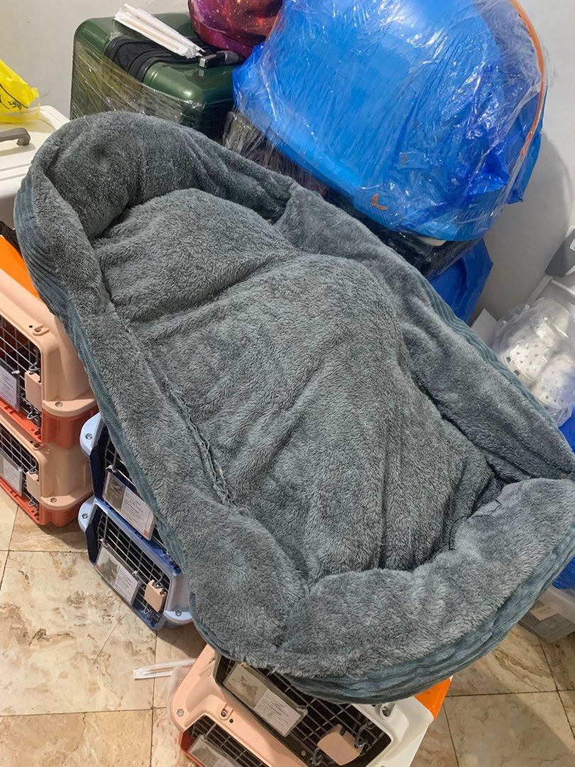 Cats litterbox & box.., Pet Supplies, Pet Food on Carousell