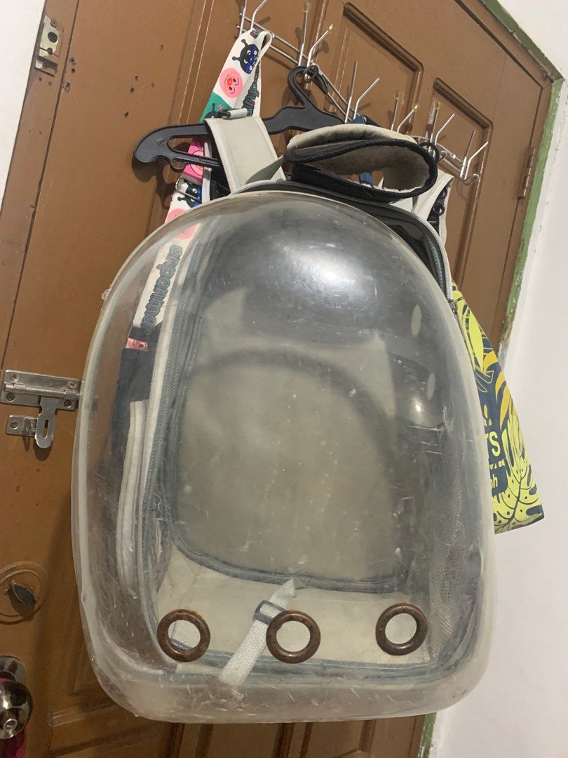 Cats litterbox & box.., Pet Supplies, Pet Food on Carousell