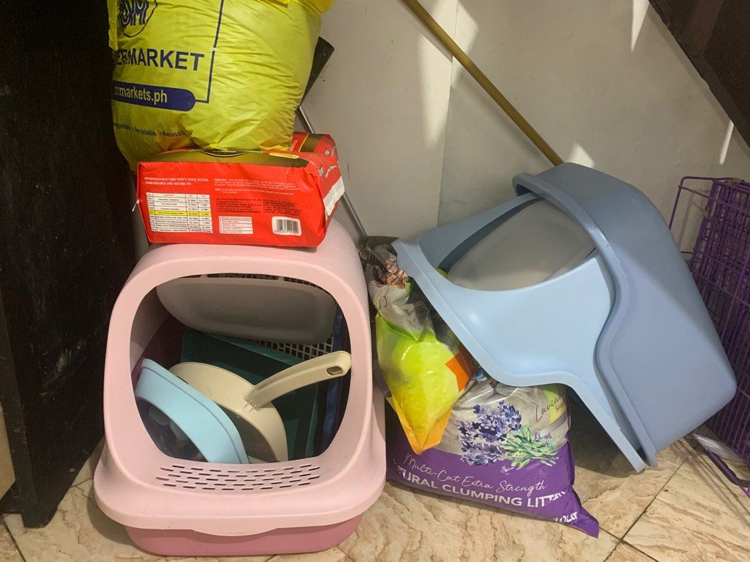 Cats litterbox & box.., Pet Supplies, Pet Food on Carousell
