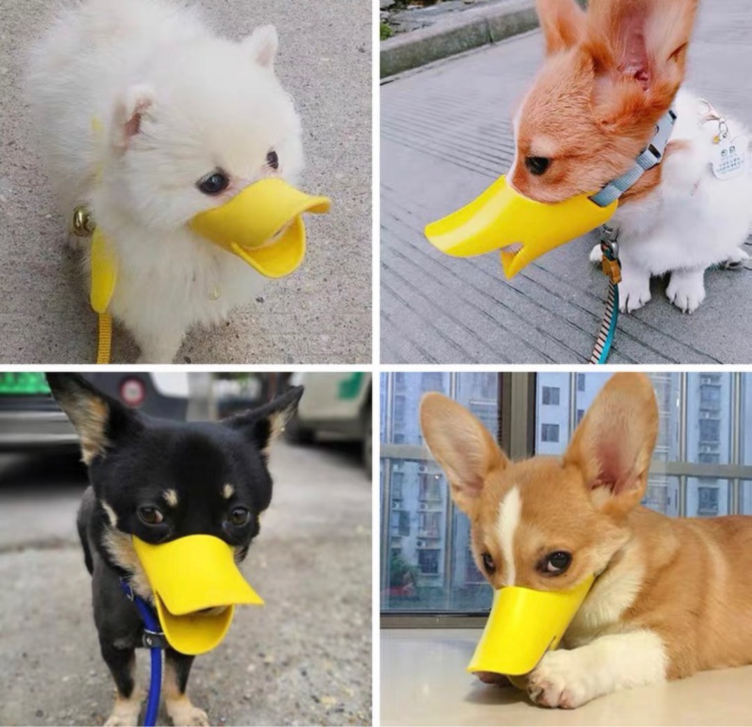 Dog mouth guard muzzle, Pet Supplies, Homes & Other Pet Accessories on Carousell
