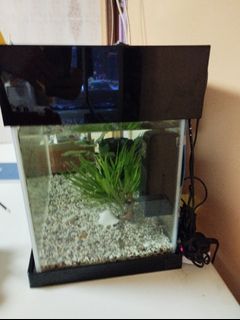 (Category: ) located in . Submitted by jaysyw (Listing ID 1198175554, Image 1). Description: .